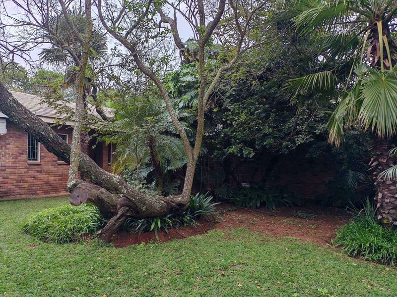 House For Sale in Dalmada AH - Photo 8