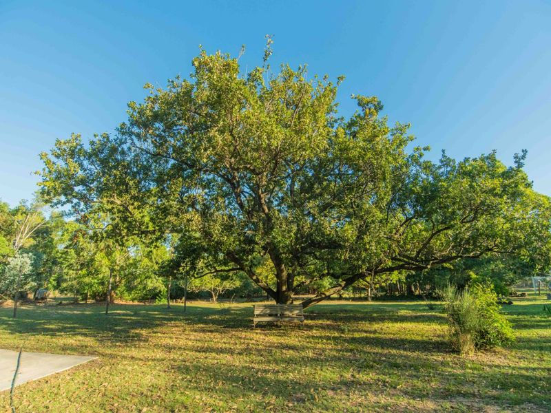 Farm For Sale in Bay West - Photo 2