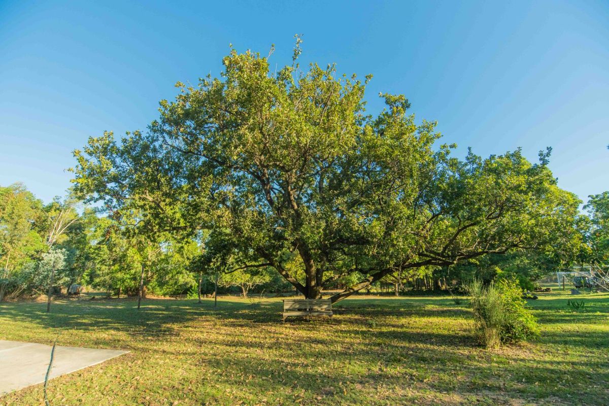 Farm For Sale in Bay West - Photo 2