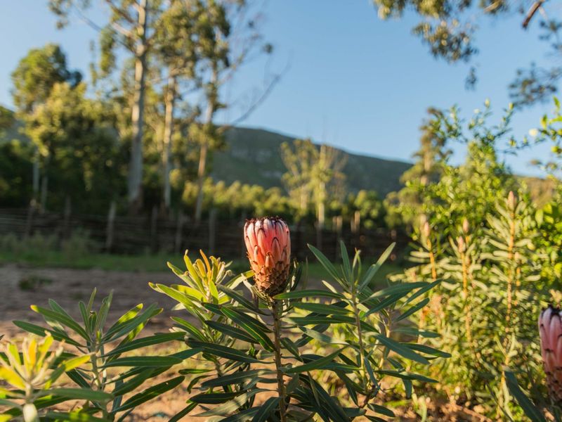 Farm For Sale in Bay West - Photo 3