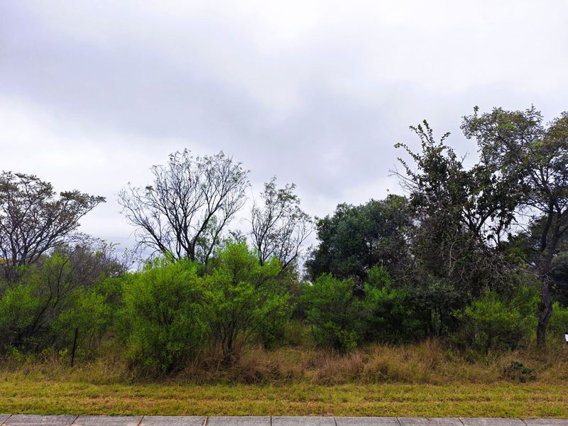 Vacant Land Residential For Sale in Koro Creek Golf Estate - Photo 2