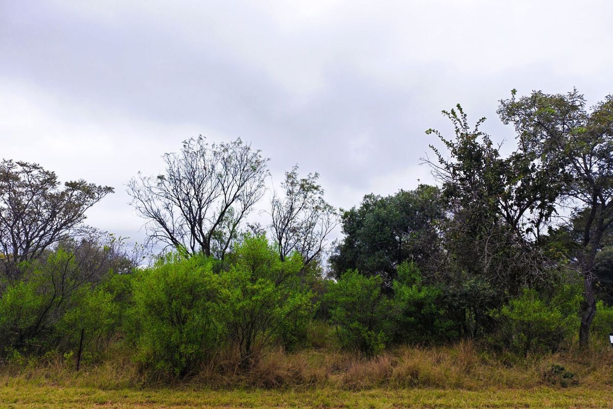 Vacant Land Residential For Sale in Koro Creek Golf Estate - Photo 2
