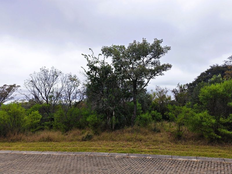 Vacant Land Residential For Sale in Koro Creek Golf Estate - Photo 3