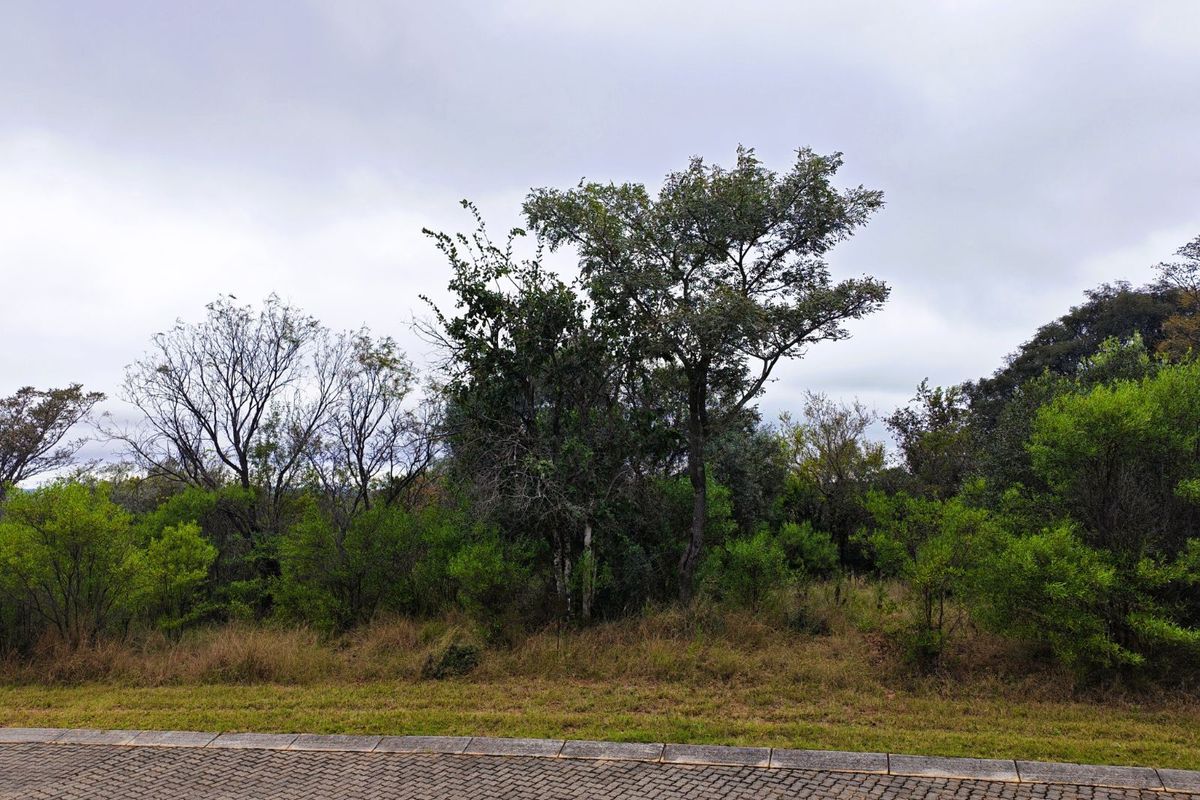 Vacant Land Residential For Sale in Koro Creek Golf Estate - Photo 3