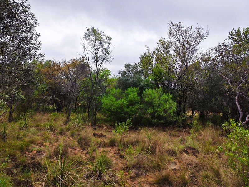 Vacant Land Residential For Sale in Koro Creek Golf Estate - Photo 5
