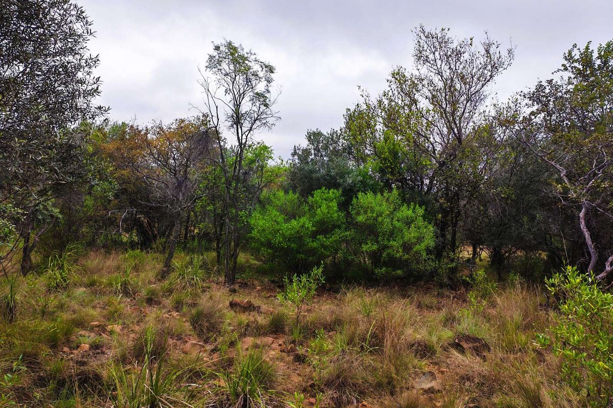 Vacant Land Residential For Sale in Koro Creek Golf Estate - Photo 5