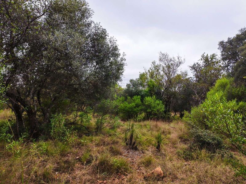 Vacant Land Residential For Sale in Koro Creek Golf Estate - Photo 4
