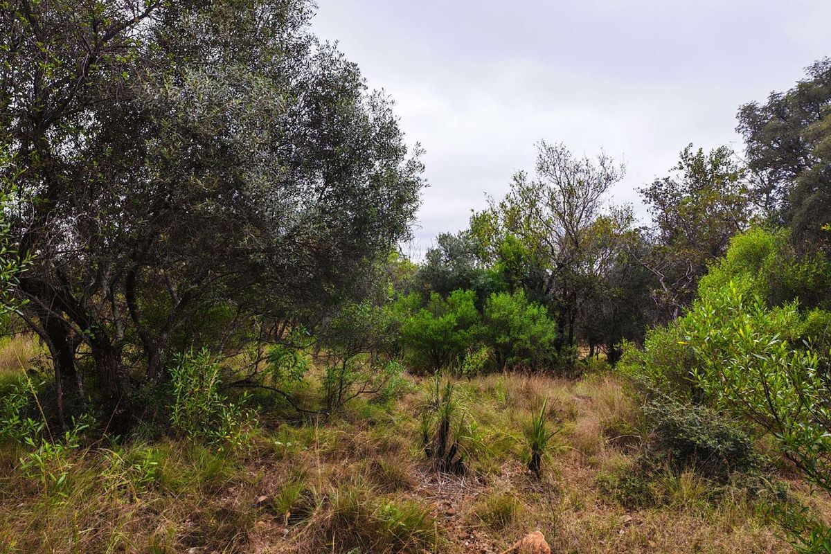 Vacant Land Residential For Sale in Koro Creek Golf Estate - Photo 4