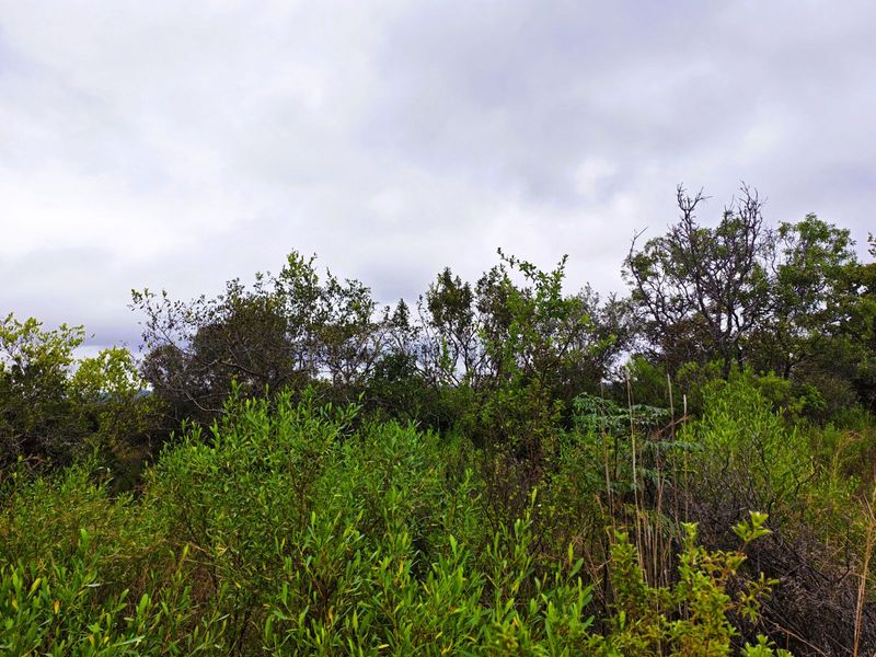 Vacant Land Residential For Sale in Koro Creek Golf Estate - Photo 4
