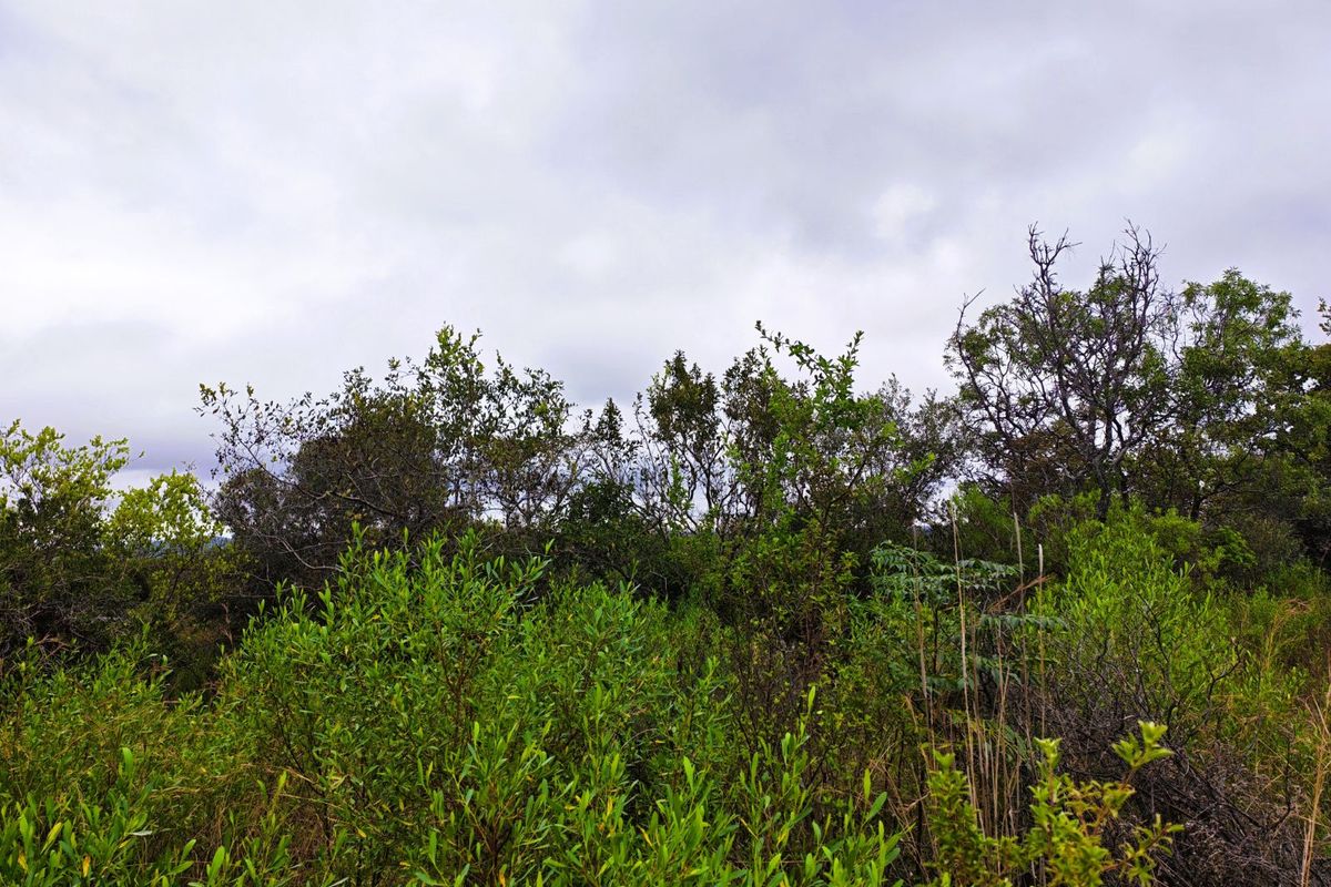 Vacant Land Residential For Sale in Koro Creek Golf Estate - Photo 4