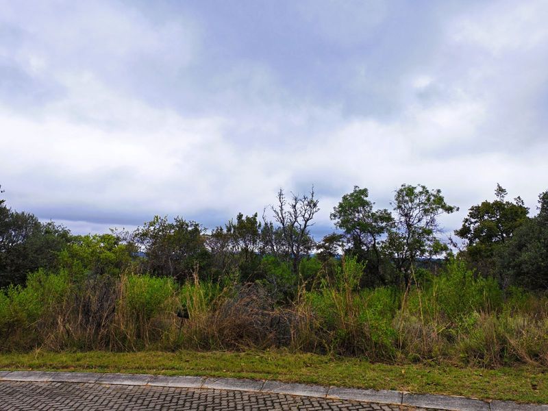 Vacant Land Residential For Sale in Koro Creek Golf Estate - Photo 2