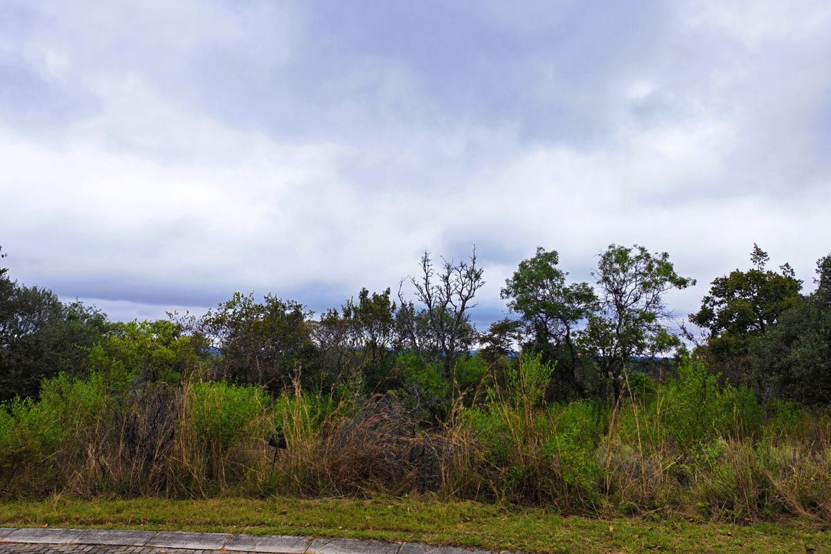 Vacant Land Residential For Sale in Koro Creek Golf Estate - Photo 2