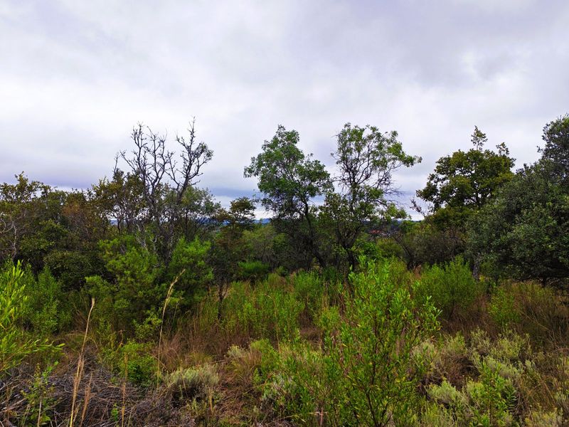 Vacant Land Residential For Sale in Koro Creek Golf Estate - Photo 3