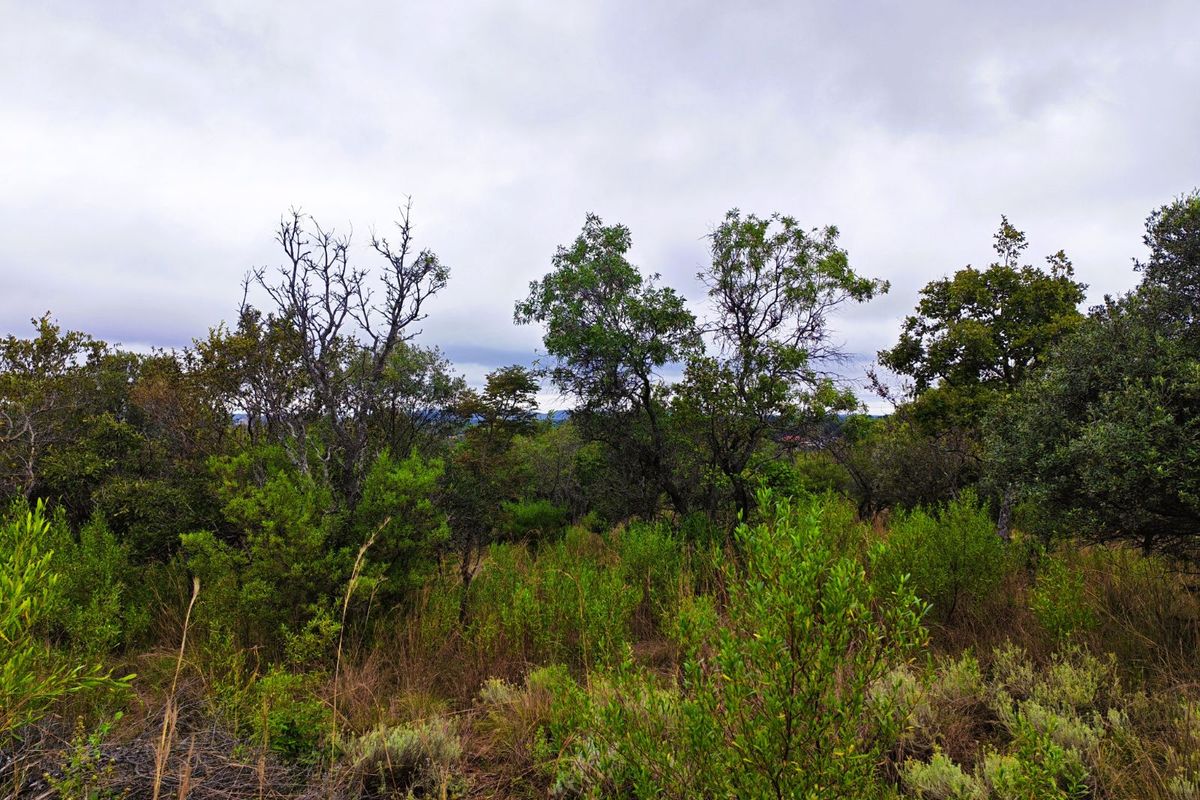 Vacant Land Residential For Sale in Koro Creek Golf Estate - Photo 3