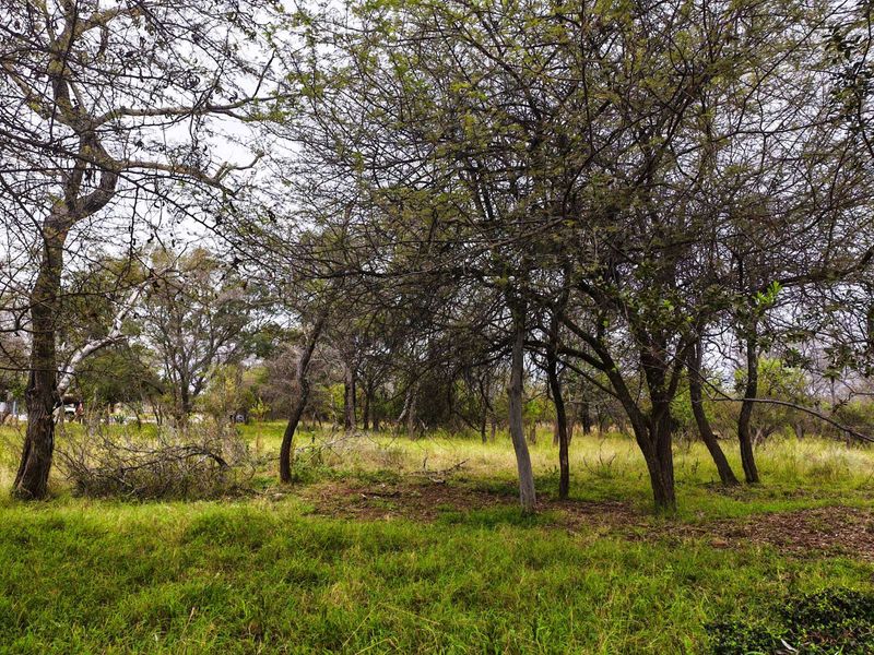 Vacant Land Residential For Sale in Koro Creek Golf Estate - Photo 6