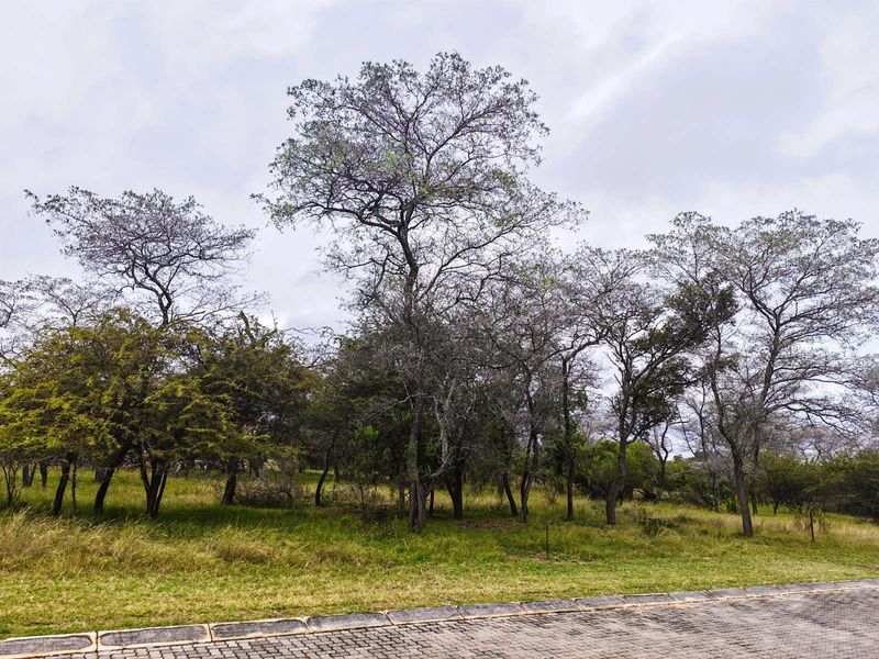 Vacant Land Residential For Sale in Koro Creek Golf Estate - Photo 5