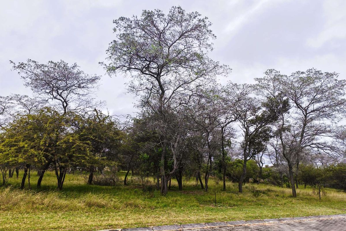 Vacant Land Residential For Sale in Koro Creek Golf Estate - Photo 5