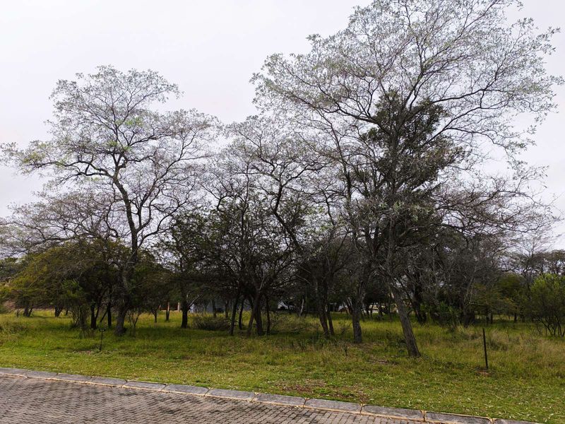 Vacant Land Residential For Sale in Koro Creek Golf Estate - Photo 3