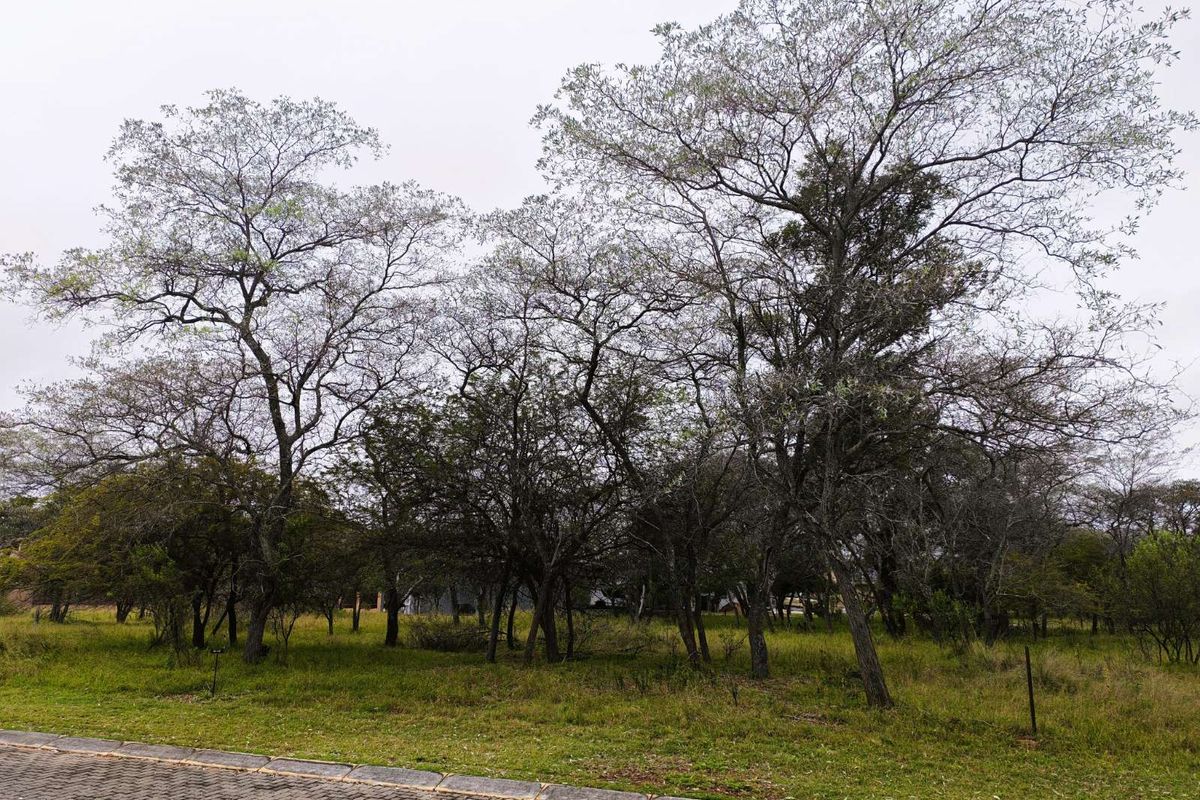 Vacant Land Residential For Sale in Koro Creek Golf Estate - Photo 3