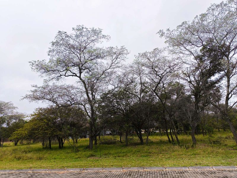 Vacant Land Residential For Sale in Koro Creek Golf Estate - Photo 4