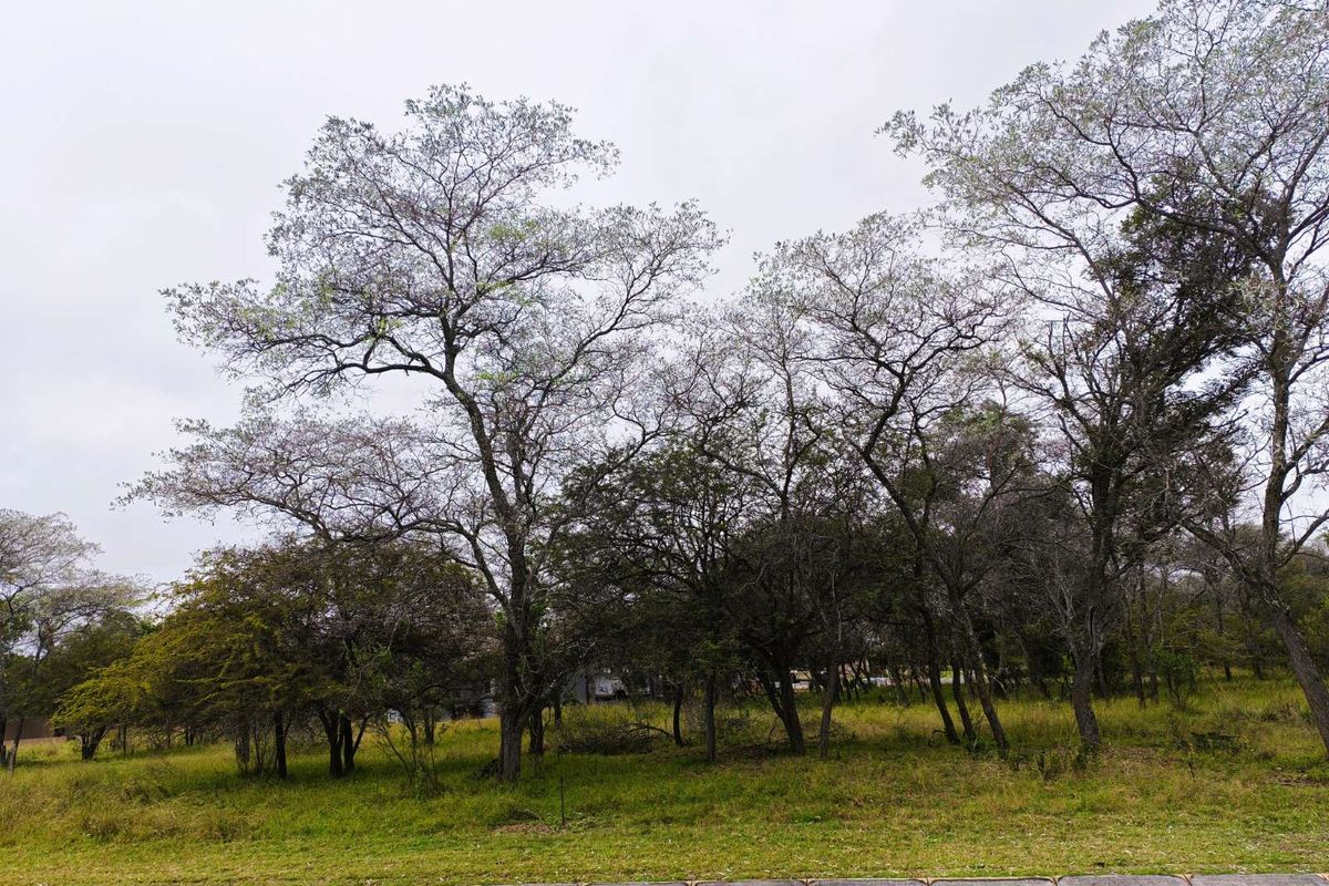 Vacant Land Residential For Sale in Koro Creek Golf Estate - Photo 4