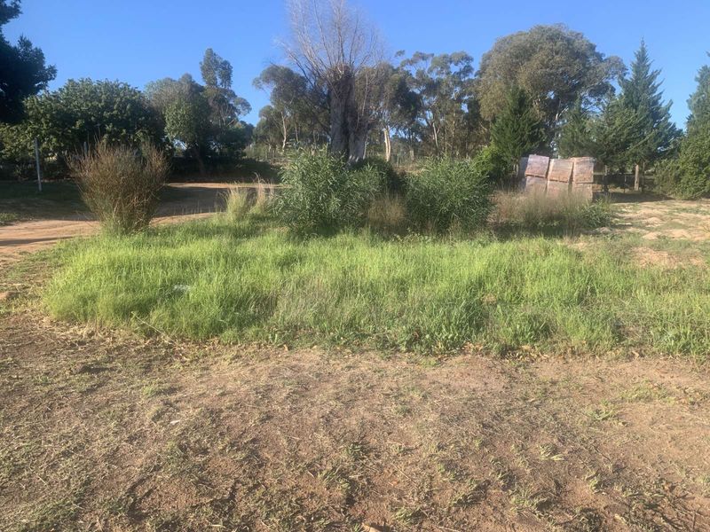 Vacant Land Residential For Sale in Albertinia Central - Photo 1