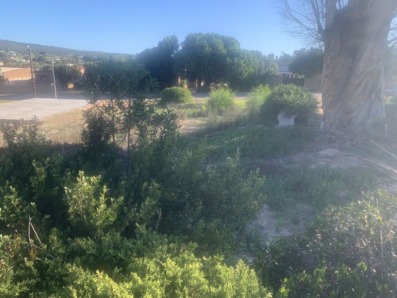 Vacant Land Residential For Sale in Albertinia Central - Photo 4