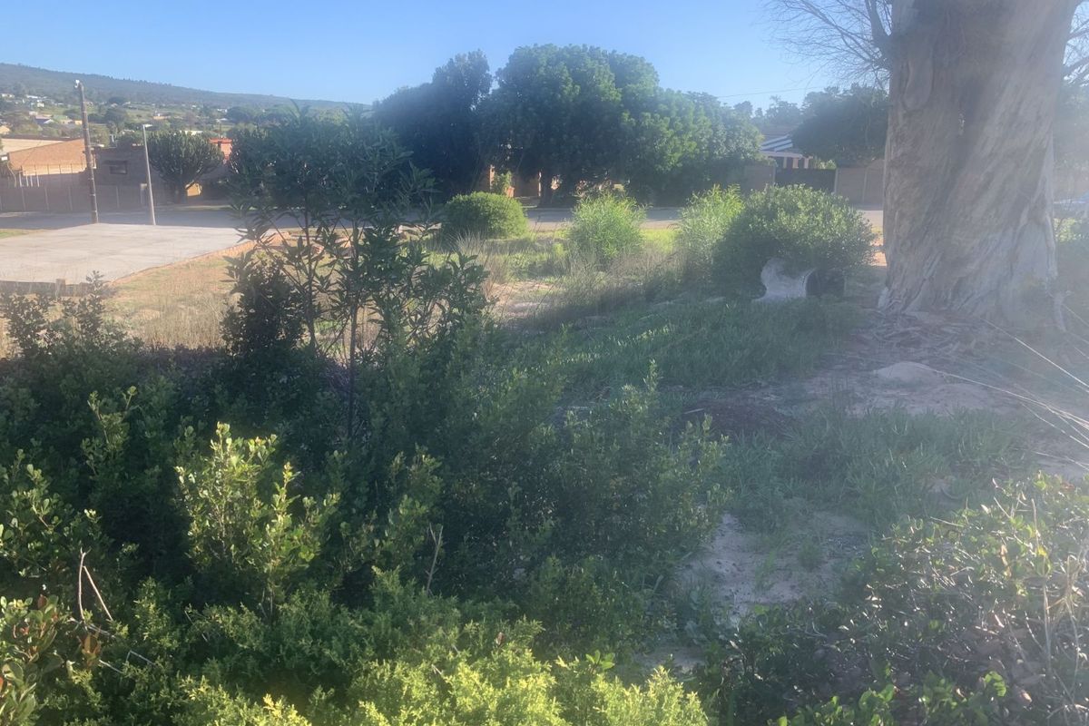 Vacant Land Residential For Sale in Albertinia Central - Photo 4