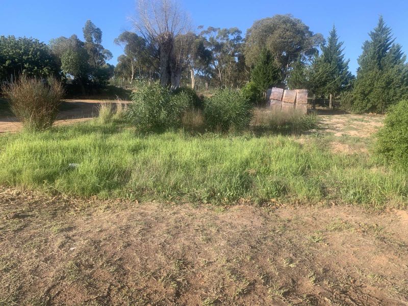 Vacant Land Residential For Sale in Albertinia Central - Photo 3