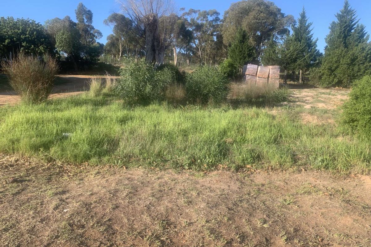 Vacant Land Residential For Sale in Albertinia Central - Photo 3