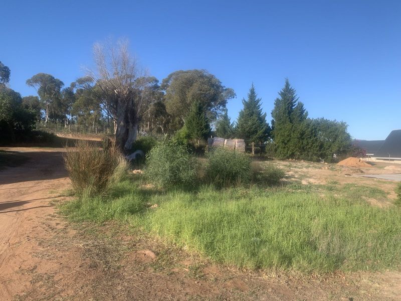 Vacant Land Residential For Sale in Albertinia Central - Photo 5
