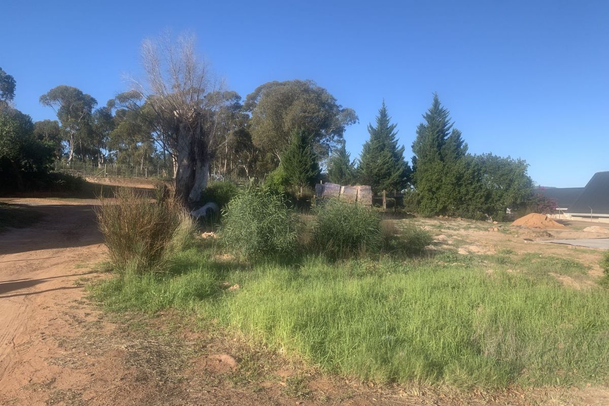 Vacant Land Residential For Sale in Albertinia Central - Photo 5
