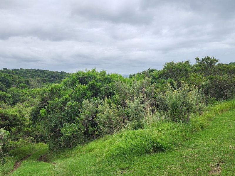 Vacant Land Residential For Sale in Khamanga Bay - Photo 9