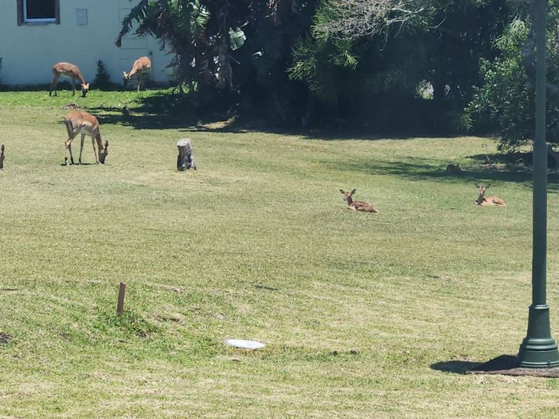 Vacant Land Residential For Sale in Khamanga Bay - Photo 9