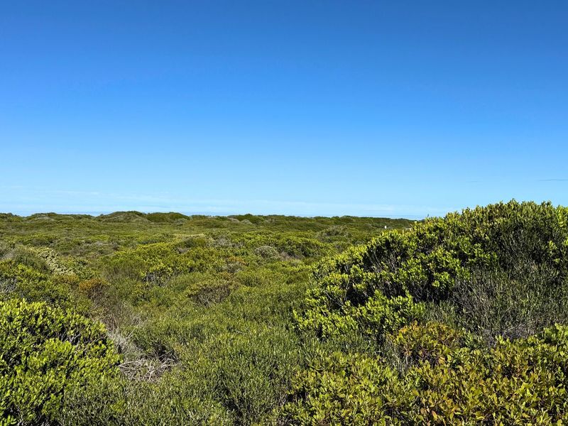 Vacant Land Residential For Sale in Pearly Beach - Photo 4