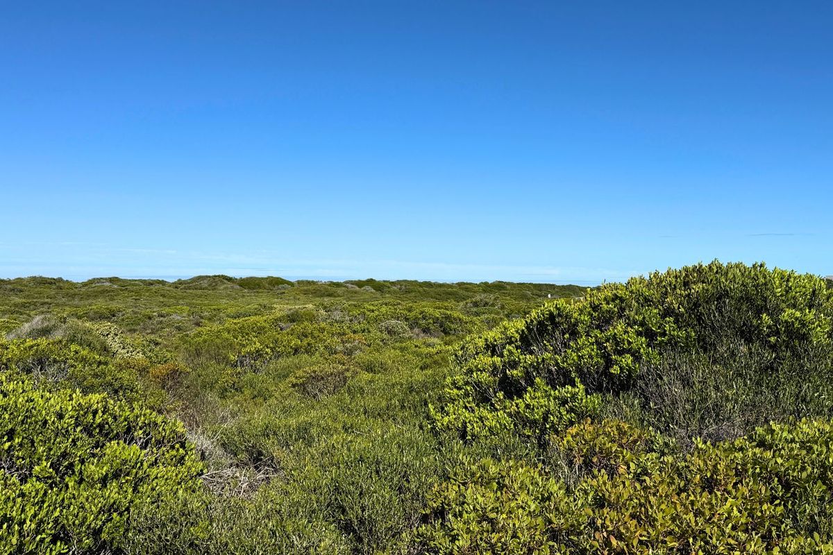 Vacant Land Residential For Sale in Pearly Beach - Photo 4