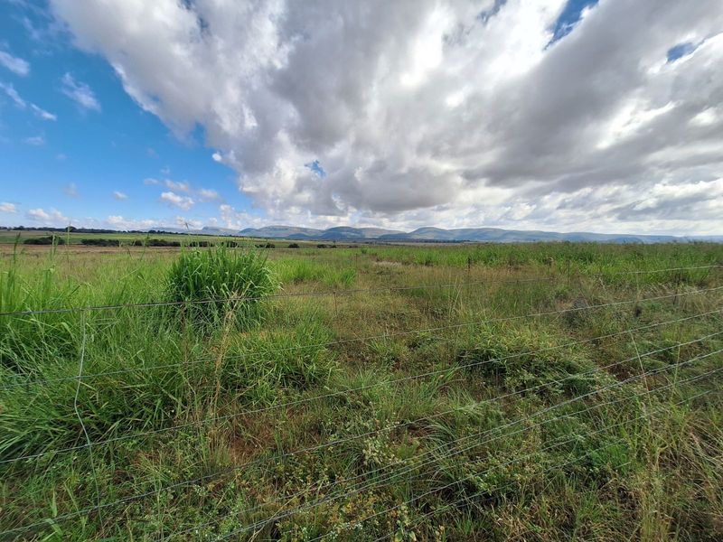 Farm For Sale in Mookgopong Rural - Photo 2