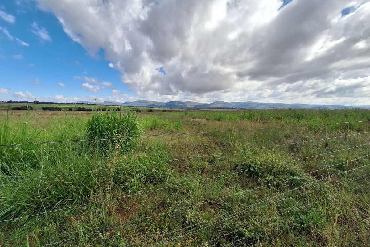 Farm For Sale in Mookgopong Rural - Photo 2