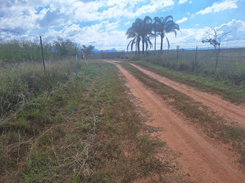 Farm For Sale in Mookgopong Rural - Photo 3