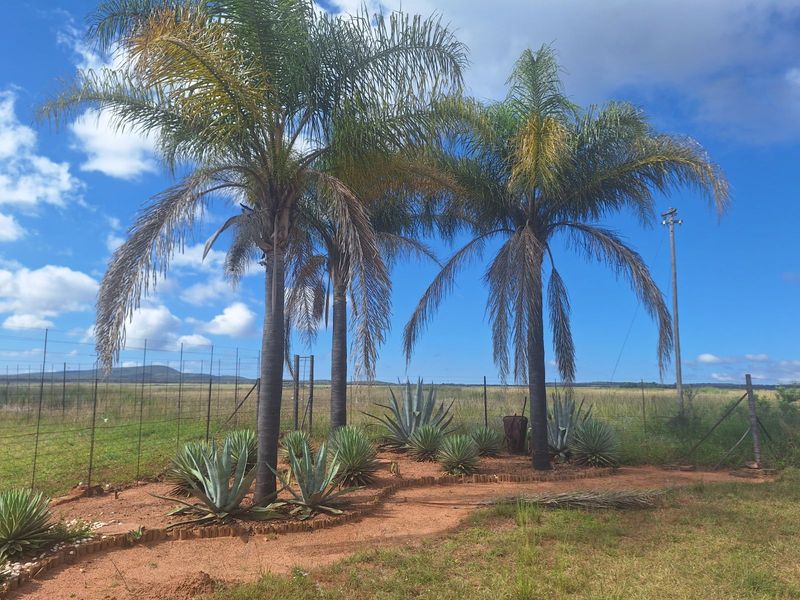 Farm For Sale in Mookgopong Rural - Photo 1