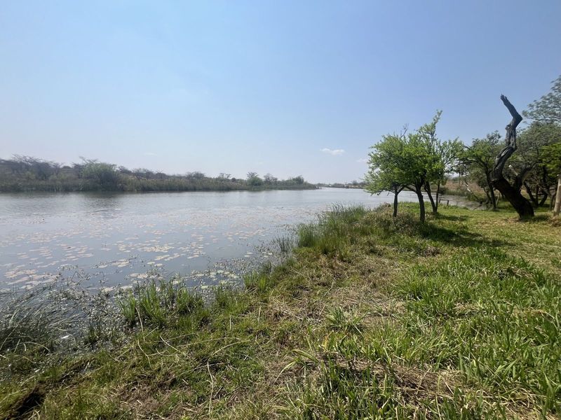 Farm For Sale in Mookgopong Rural - Photo 4