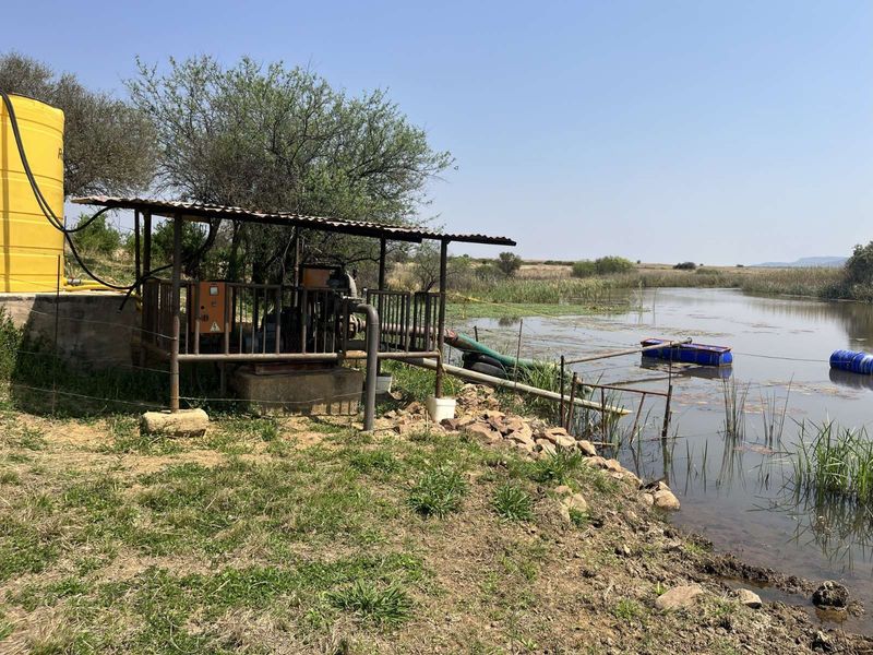 Farm For Sale in Mookgopong Rural - Photo 5