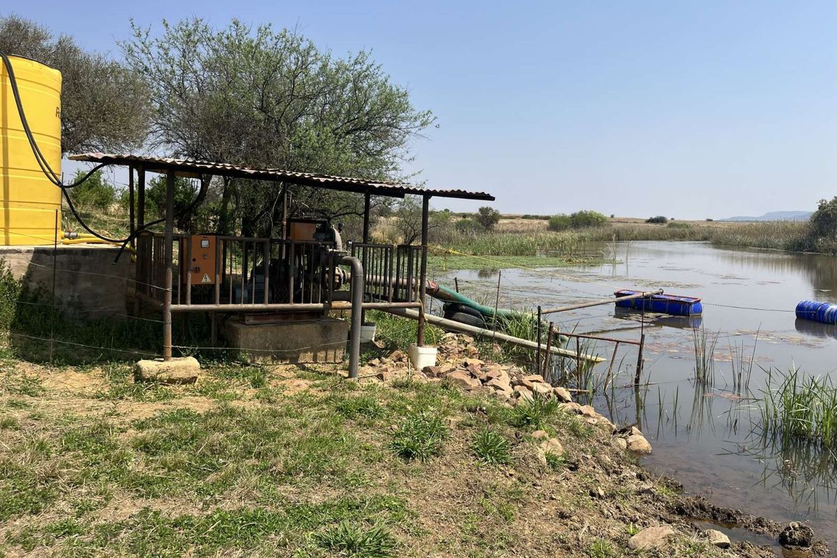 Farm For Sale in Mookgopong Rural - Photo 5