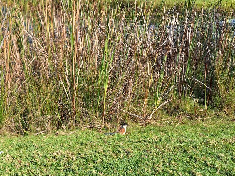 Vacant Land Residential For Sale in Koro Creek Golf Estate - Photo 2