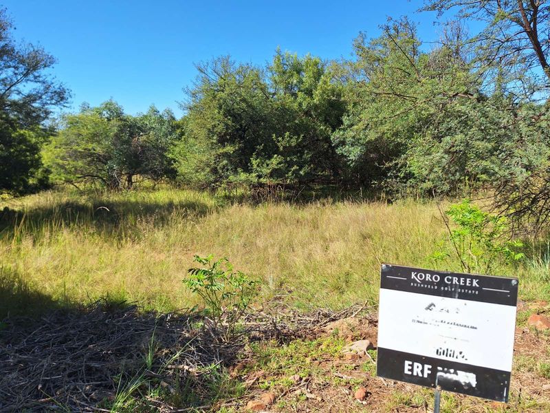 Vacant Land Residential For Sale in Koro Creek Golf Estate - Photo 1