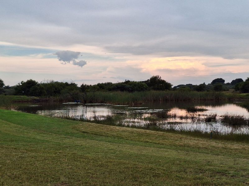 Vacant Land Residential For Sale in Koro Creek Golf Estate - Photo 4