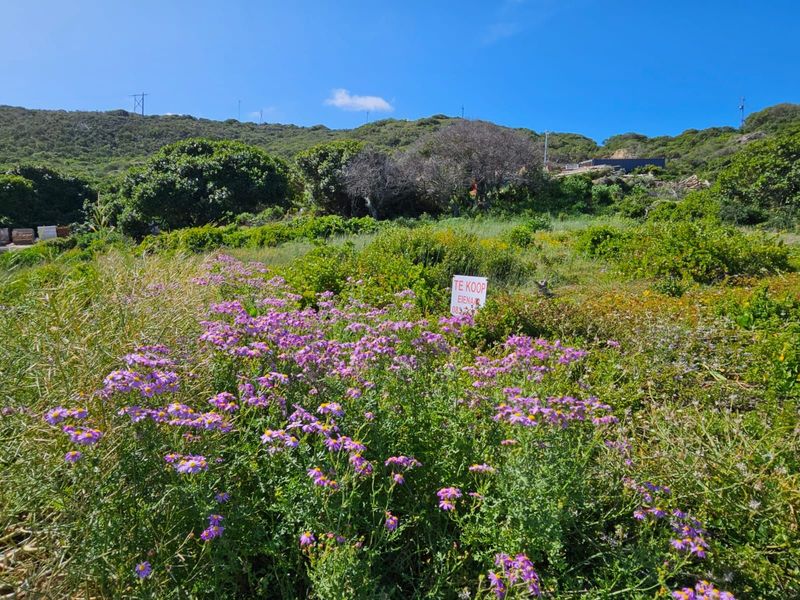 Vacant Land Residential For Sale in Jongensfontein - Photo 3