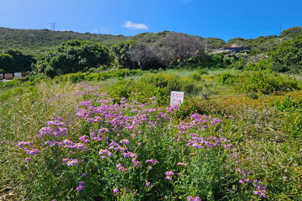 Vacant Land Residential For Sale in Jongensfontein - Photo 3