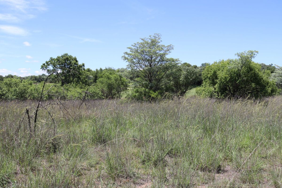 Vacant Land Residential For Sale in Koro Creek Golf Estate - Photo 2