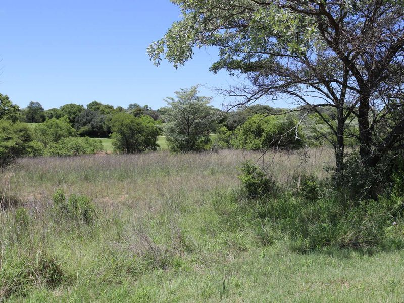 Vacant Land Residential For Sale in Koro Creek Golf Estate - Photo 3
